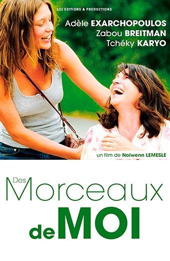 DES MORCEAUX DE MOI - HD